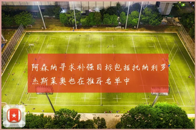 阿森纳寻求补强目标包括托纳利罗杰斯莱奥也在推荐名单中
