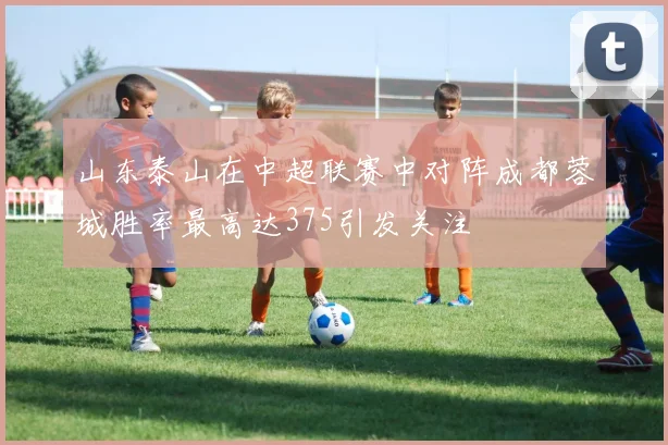 山东泰山在中超联赛中对阵成都蓉城胜率最高达375引发关注