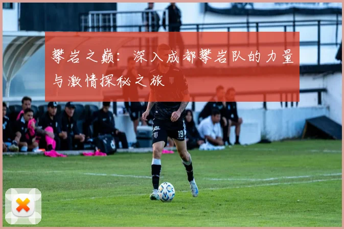 攀岩之巅：深入成都攀岩队的力量与激情探秘之旅