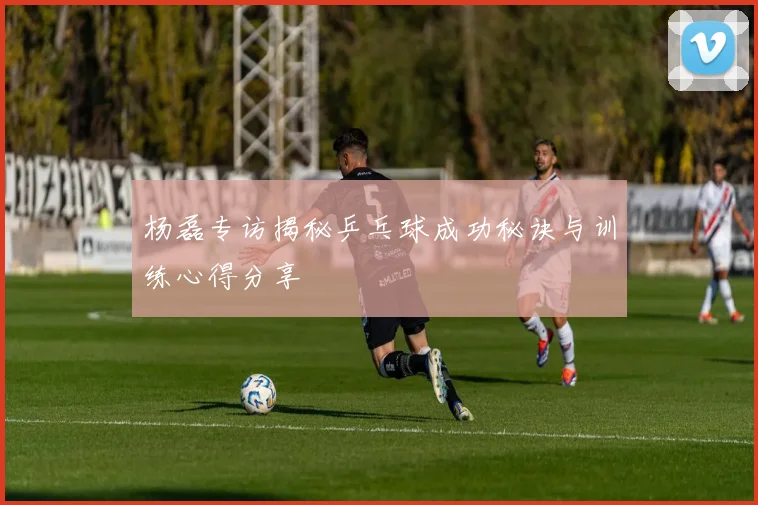 杨磊专访揭秘乒乓球成功秘诀与训练心得分享